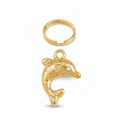 Delfin